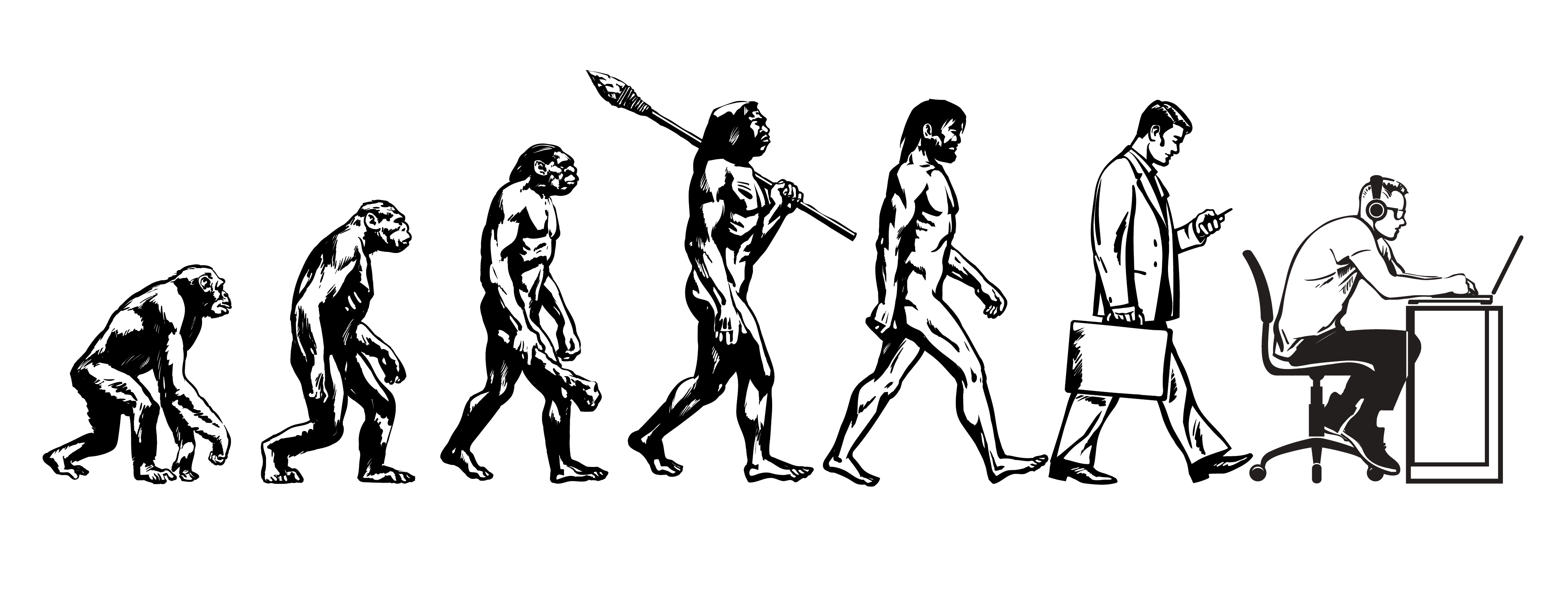 La Timeline Dell Evoluzione Dell Uomo Evoluzione Timeline Scienze